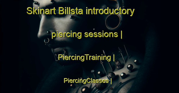 Skinart Billsta introductory piercing sessions | PiercingTraining | PiercingClasses | SkinartTraining-Sweden